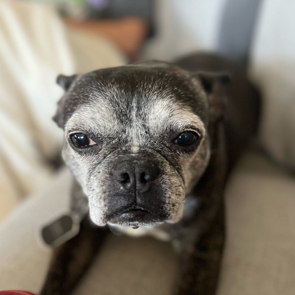 Meet your Posher, Sandy